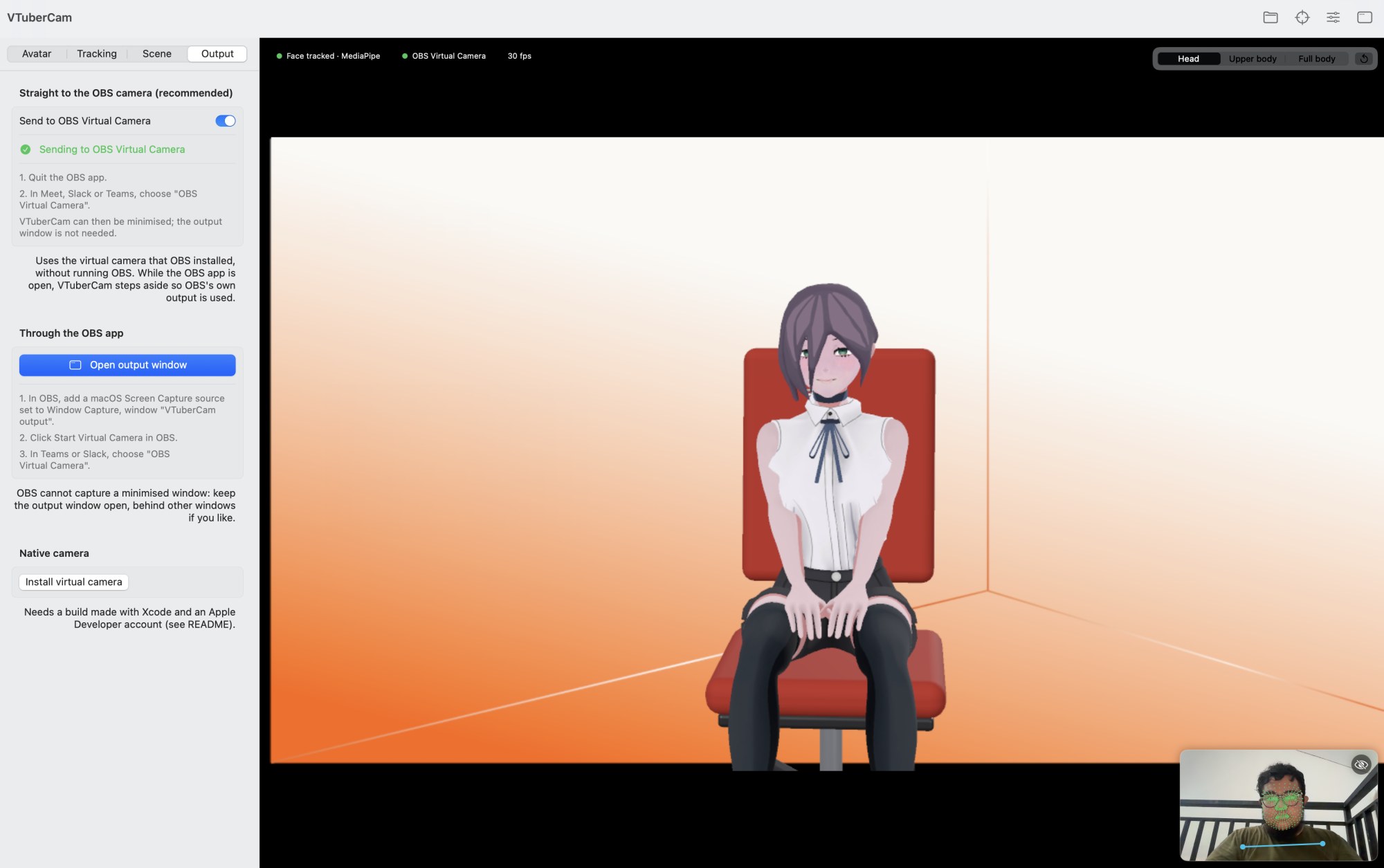 VTuberCam: output options
